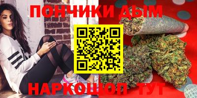 дмт Гатчина