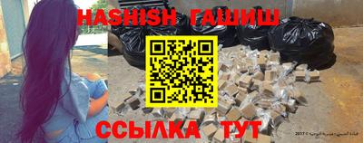 дмт Гатчина