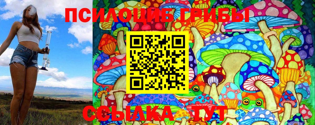 где найти   Вход с VPN  Шадринск  Псилоцибиновые грибы Cubensis 