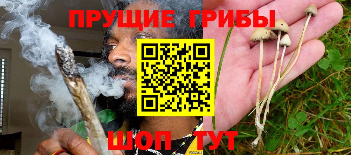 Галлюциногенные грибы мицелий Шадринск